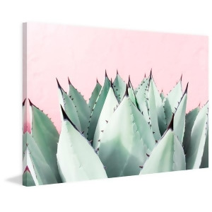 Sweet Succulents Painting Print On Wrapped Canvas - All