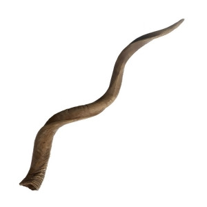Dimond Home Blonde Curved Kudu Horn - All
