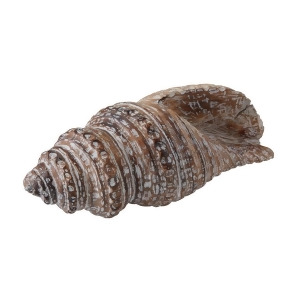 Dimond Home Decorative Wooden Conch Shell - All