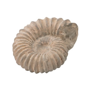 Dimond Home Cretaceous Ancient Shell Sculpture - All