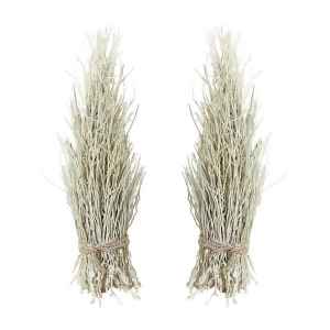 Dimond Home White Washed Cocoa Twig Sheaf Set of 2 - All