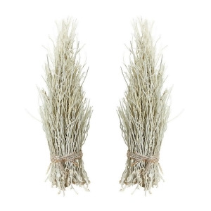 Dimond Home White Washed Cocoa Twig Sheaf Set of 2 - All