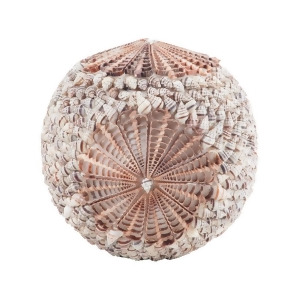 Dimond Home Sliced Shell Spiral Ball - All