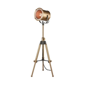 Dimond Lighting Ethan Tripod Lamp in Aged Brass - All