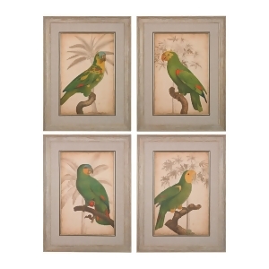 Sterling Parrot And Palm I Through Iv Fine Art Giclees under Glass - All