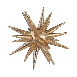 Sterling Spiny urchin - All