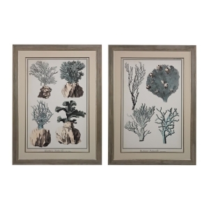 Sterling Oversized Coral Species I And Ii Fine Art Giclees under Glass - All