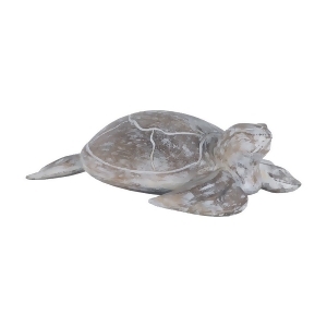 Sterling Galapagos Turtle White Washed Albasia Wood - All
