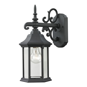 Thomas Spring Lake 1 Light Outdoor Wall Sconce In Matte Textured Black - All
