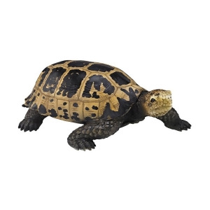 Guild Master 2182-030 San Cristobal Decorative Turtle - All