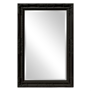 Howard Elliott Queen Ann Rectangular Glossy Black Mirror - All