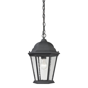 Thomas Temple Hill 1 Light Outdoor Pendant In Matte Textured Black - All