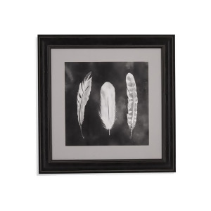 Bassett Mirror Cyanotype Feathers I Framed Art - All