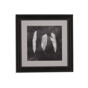 Bassett Mirror Cyanotype Feathers Ii Framed Art - All