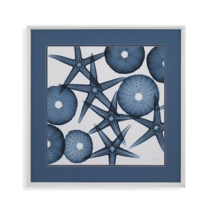 Bassett Mirror Starfish Sea Urchins Framed Art - All
