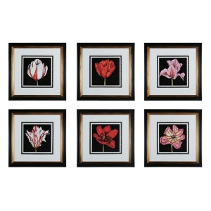 Sterling Industries 10003-S6 Tulip Profusion - All