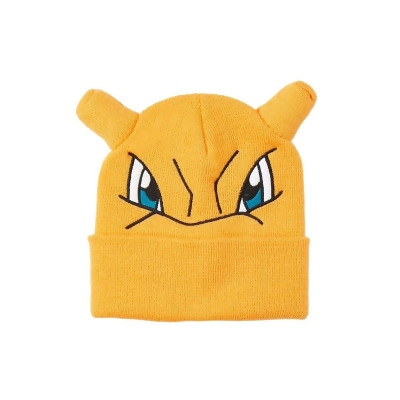 pokemon pikachu with charizard hat