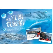 宜蘭賞鯨船行 宜蘭賞鯨船行
