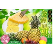 XL級屏東黃金爆汁金鑽17號鳳梨 9台斤起 XL級屏東黃金爆汁金鑽17號鳳梨 9台斤起