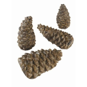 Wilderness 4 pc Pine Cone Single Pack - All