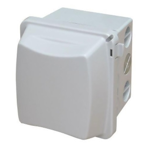 Infratech Duplex Dual Switch with Surface Mount and Gang Box - All