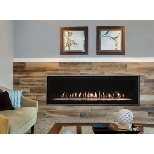 Boulevard Dv Linear 60 Multi-Function Fireplace Natural Gas - All