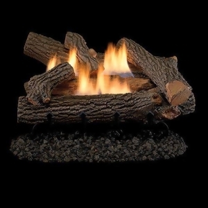 Crescent Hill Vent 24 Gas Logs with Millivolt Control Ng - All