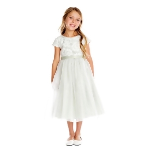 Sweet Kids Little Girls Gray Floral Sponge Mesh Tulle Flower Girl Dress 2-6 - 2