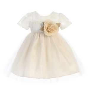 Sweet Kids Baby Girls Champagne Spring Jasmine Lace Tulle Easter Dress 6-24M - 6-9 Months