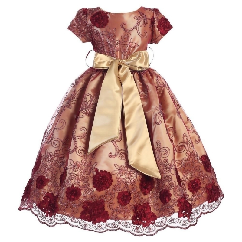 embroidered occasion dress