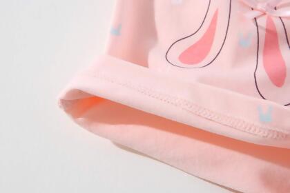 FYDRISE Girls Underwear Bunny Cotton Seamless Panties Brief 4T 