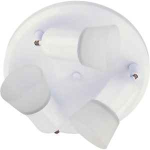 Canarm White Ceiling Fixture Icw53wh - All