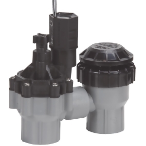 Rain Bird Corp. Consumer 3/4 fl.Anti-Siphon Valve Dasasvf075 - All