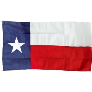 Valley Forge Texas State Flag Tx3 - All