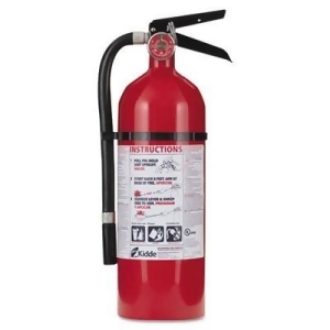 Pro 210 Fire Extinguisher 4lb 2-A 10-B C 21005779 - All