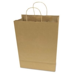 Premium Shopping Bag Brown Kraft 10 x 13 50/Box 091565 - All