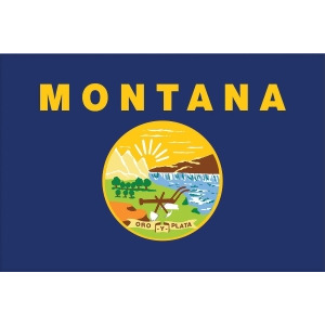 Nylglo Montana State Flag 3 ft.H x 5 ft.W Outdoor Nylon 143160 - All