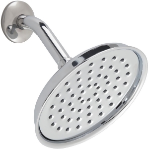 Waterpik Chrome Rain Showerhead Rsd133e - All