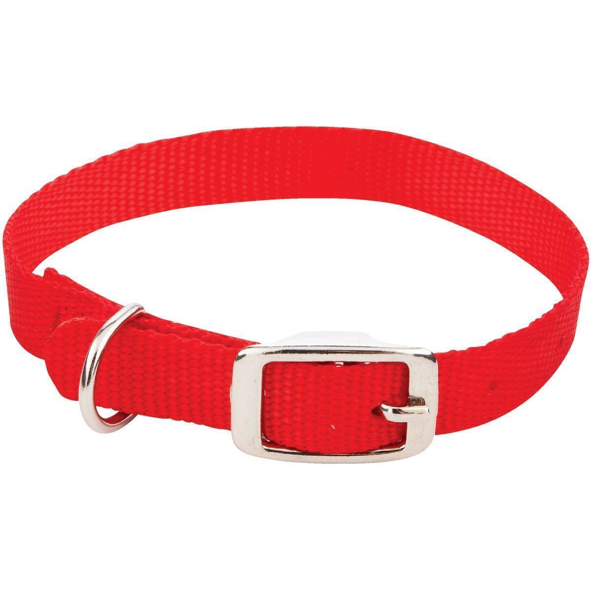 Westminster Pet Ruffin' it Adjustable 16 In. Nylon Dog Collar 31416