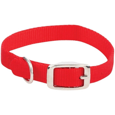 Westminster Pet Ruffin' it Adjustable 14 In. Nylon Dog Collar 31414 
