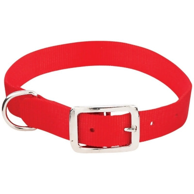 Westminster Pet Ruffin' it Adjustable 22 In. Nylon Dog Collar 31422 