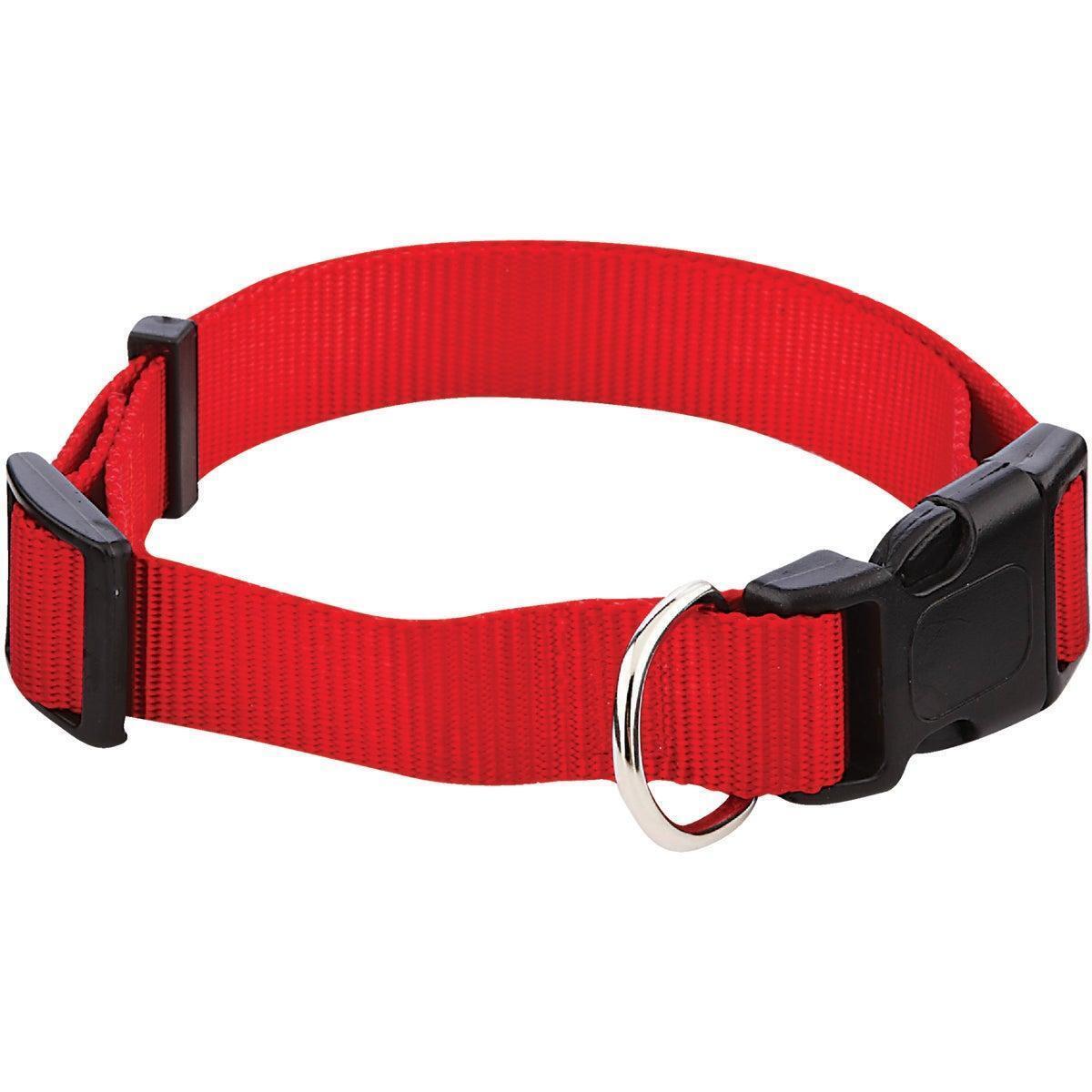 Westminster Pet Ruffin' it Adjustable 18 In. to 26 In. Nylon Dog Collar 31443