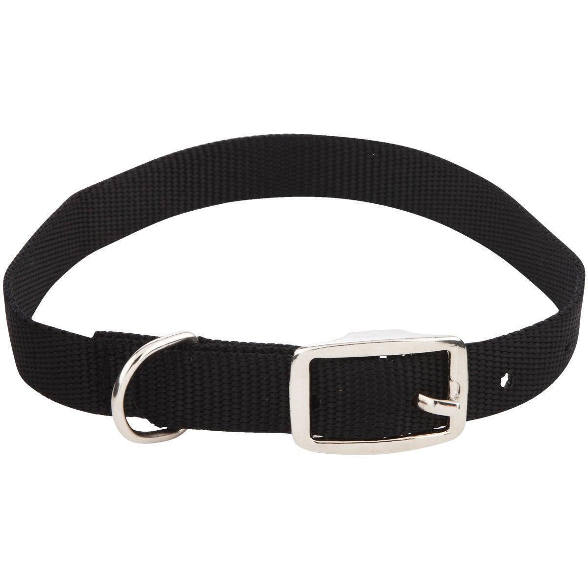 Westminster Pet Ruffin' it Adjustable 20 In. Nylon Dog Collar 31420