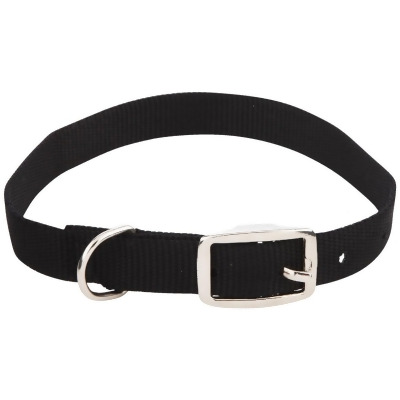 Westminster Pet Ruffin' it Adjustable 20 In. Nylon Dog Collar 31420 