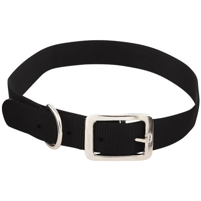 Westminster Pet Ruffin' it Adjustable 24 In. Nylon Dog Collar 31424 