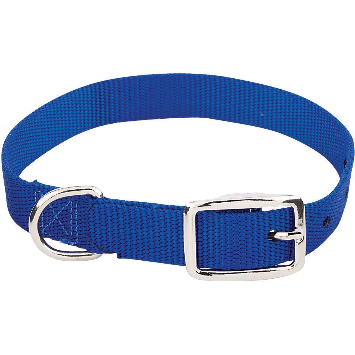 Westminster Pet Ruffin' it Adjustable 18 In. Nylon Dog Collar 31418