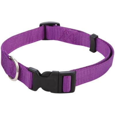 Westminster Pet Ruffin' it Adjustable 14 In. to 20 In. Nylon Dog Collar 34142 