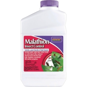 https://img.shop.com/Image/260000/263300/263383/products/1937729235__300x300__.jpg