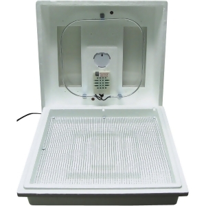 https://img.shop.com/Image/260000/263300/263383/products/1937738450__300x300__.jpg