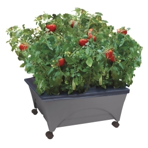Emsco Group City Picker Raised Bed Grow Box – Self Watering and Improved Aeration – Mobile Unit with Casters - Slate (B0798W7X4Y)